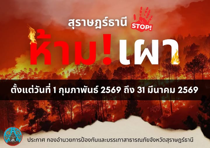 🪾🔥ประกาศ   
กองอำนวยการป้องกันและบรรเทาสาธารณภัยจังหวัดสุราษฎร์ธานี  
ตั้งแต่วันที่ 1 กุมภาพันธ์ 2569 ถึง 31 มีนาคม 2569  
❌ห้ามเผา❌